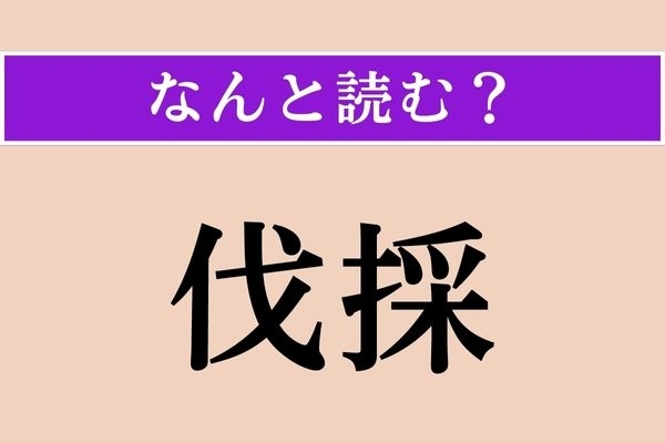 【難読漢字】「伐採」正しい読み方は？ 簡単かな？ 木を根元から切ることです