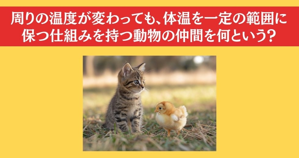 大人ならわかる？ 小学校の「理科」問題＜Vol.100＞