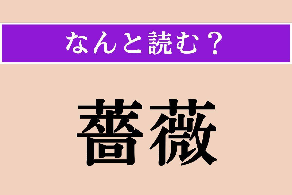 【難読漢字】「夜業」「掩蓋」「薔薇」読める？