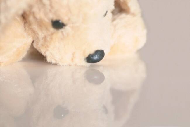 ペットが死んだら何をするべきか？ 遺体の処置から葬儀・供養まで