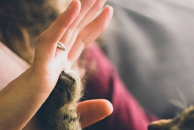 ペットが死んだら何をするべきか？ 遺体の処置から葬儀・供養まで