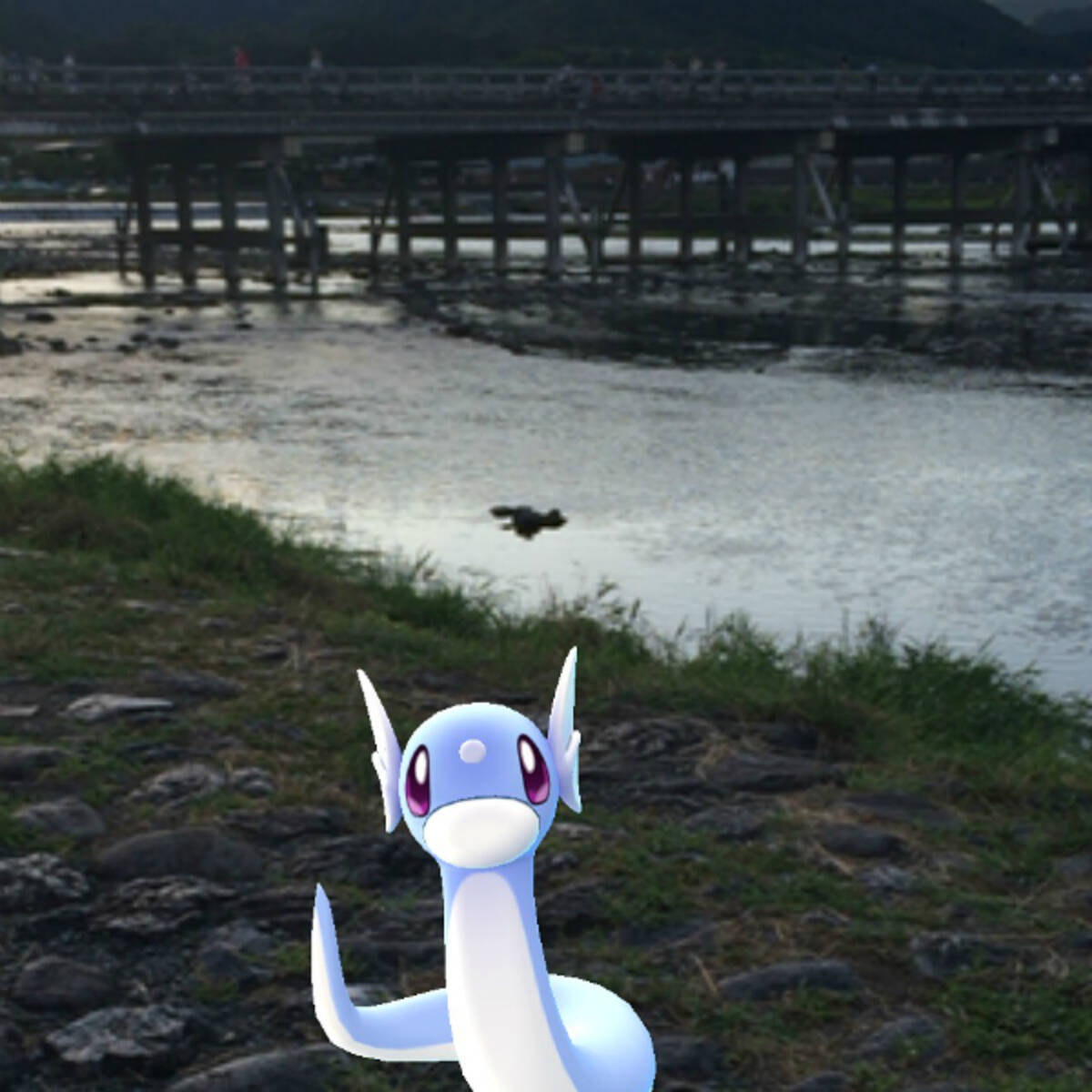 ポケモンgo 京都嵐山編 桂川でレジェンド級トレーナーに遭遇 エキサイトニュース