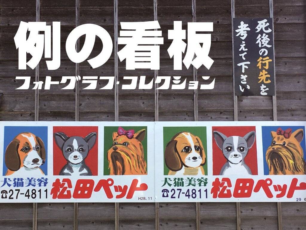 黒目がちな犬が長岡で待ってる『例の看板　フォトグラフ・コレクション』現物を見に行きたい、たぶん行く