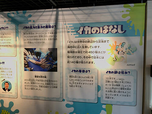 「Splatoon2」と京都水族館のコラボに行ってきた、ずぶ濡れ上等