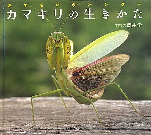 香川照之本気暴走番組「昆虫すごいぜ！」が帰ってくる、大晦日一挙放送を見逃すな