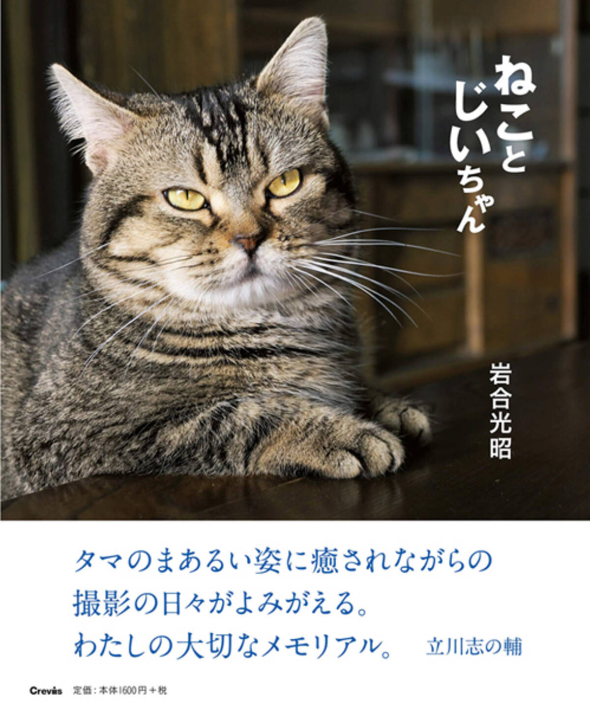 映画 ねことじいちゃん 岩合光昭監督に聞く 僕は猫に命令しない 演技もさせない ただお願いをします エキサイトニュース