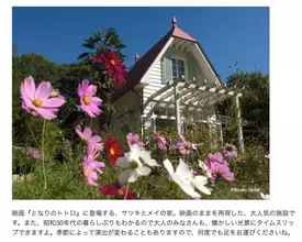 金曜ロードショー『となりのトトロ』 おべんじょ！ サツキとメイの家は病人が死んだ家？