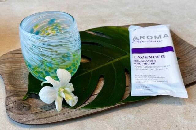 客室でラウンジ気分。期間限定【ANAインターコンチネンタル石垣リゾート・ベイウイング】客室ミニバーが無料に