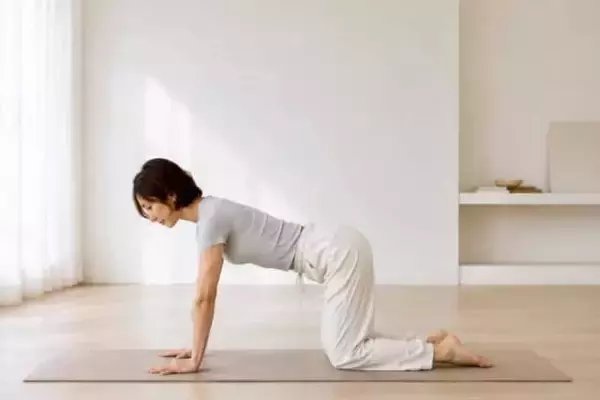 下腹だけが痩せないなら…。40代から始めたい“姿勢と体幹”を整える簡単習慣