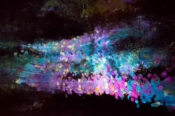 「夜の森で繰り広げる光とサウンドの神秘的なドラマ。【チームラボ 養老渓谷】が期間限定で開催中」の画像