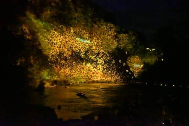 夜の森で繰り広げる光とサウンドの神秘的なドラマ。【チームラボ 養老渓谷】が期間限定で開催中