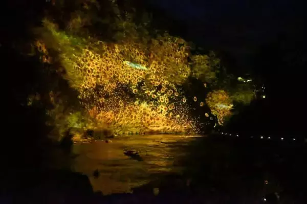 「夜の森で繰り広げる光とサウンドの神秘的なドラマ。【チームラボ 養老渓谷】が期間限定で開催中」の画像