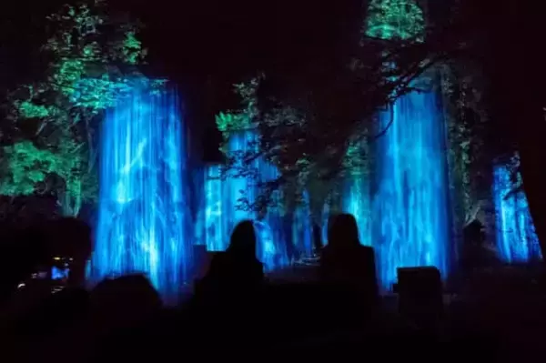 「夜の森で繰り広げる光とサウンドの神秘的なドラマ。【チームラボ 養老渓谷】が期間限定で開催中」の画像