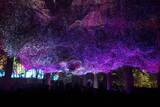 「夜の森で繰り広げる光とサウンドの神秘的なドラマ。【チームラボ 養老渓谷】が期間限定で開催中」の画像7