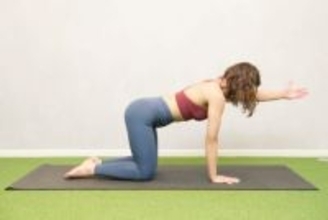 腰まわりの贅肉が落ちにくい40代へ。１日５セット【体幹が目覚める】簡単ポーズ