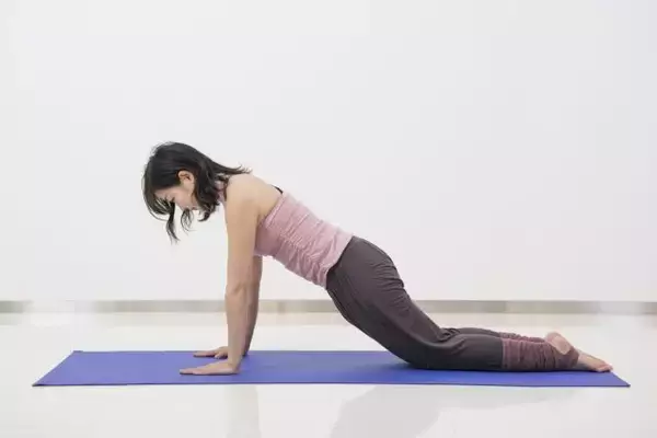 体幹強化で“痩せ体質”に。１日５回【お腹＆二の腕スッキリが叶う】簡単エクササイズ