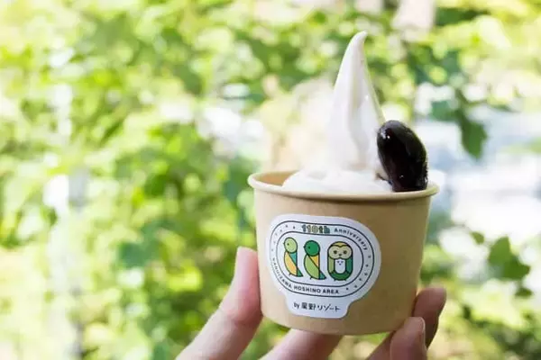 「森のお風呂を満喫。軽井沢の上質なお風呂空間【星野温泉 トンボの湯】の魅力」の画像