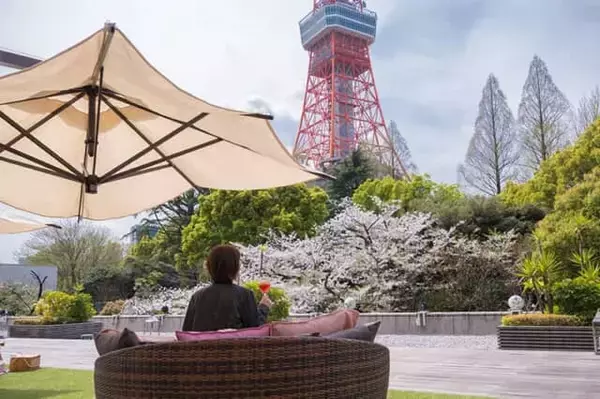 「東京タワーの絶景を間近におしゃれなピクニック。【東京プリンスホテル】のテラスで春を満喫」の画像