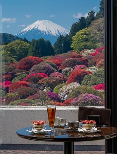 無料で楽しめる箱根のツツジ園は今まさに見ごろ。【小田急 山のホテル】では眺望抜群のカフェもおすすめ