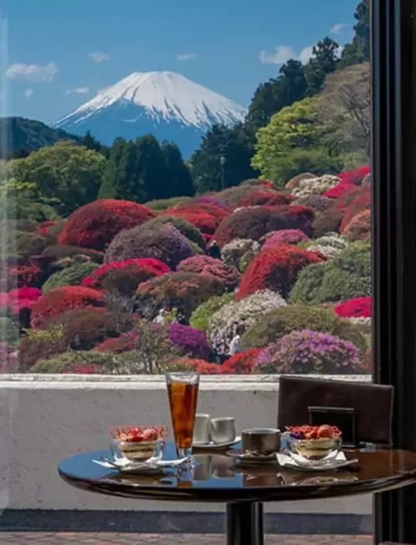 「無料で楽しめる箱根のツツジ園は今まさに見ごろ。【小田急 山のホテル】では眺望抜群のカフェもおすすめ」の画像