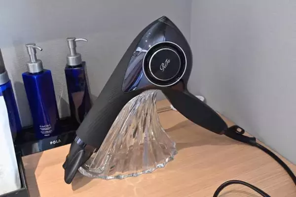 「サウナもバーベキューも。【ベッセルイン高田馬場駅前】スイートルームで東京ステイを満喫」の画像