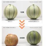 「栄養ドリンクに頼るだけじゃダメ。効率良く【疲労＆ストレスを解消する】簡単習慣３つ」の画像2