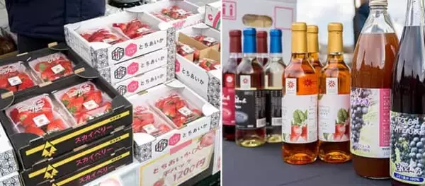 「１日限定の列車旅『DL大樹とちぎグルメ号』をレポート！東武線沿線の栃木県のご当地名物をお腹いっぱい満喫」の画像