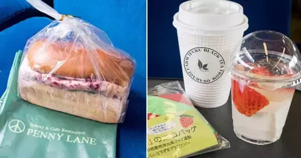 「１日限定の列車旅『DL大樹とちぎグルメ号』をレポート！東武線沿線の栃木県のご当地名物をお腹いっぱい満喫」の画像