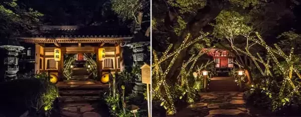 「夜風が心地よい高輪の日本庭園でライトアップを満喫。高輪エリアのプリンスホテルで楽しむ日本の夏」の画像