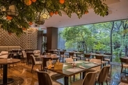 【東京】アフタヌーンティより絶対お得！桃やマンゴー、個性的なかき氷が食べ放題「夏のスイーツブッフェ」