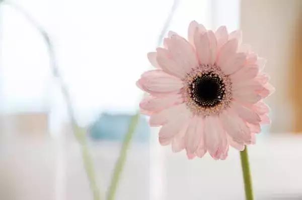 「斬新すぎる水わさびのアフタヌーンティーに感動。【リゾナーレ熱海】で初体験の味を発見する」の画像