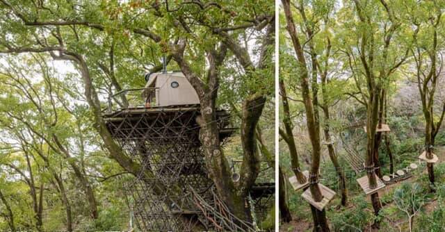 斬新すぎる水わさびのアフタヌーンティーに感動。【リゾナーレ熱海】で初体験の味を発見する