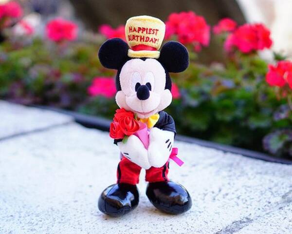 忘れられない１日に 大切な人の誕生日は東京ディズニーリゾートでスペシャルに過ごして 17年4月9日 エキサイトニュース