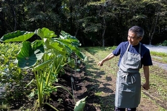 期間限定【リゾナーレ那須】のブランチは特別感たっぷり。自分で収穫した野菜を農園のテーブル席で満喫