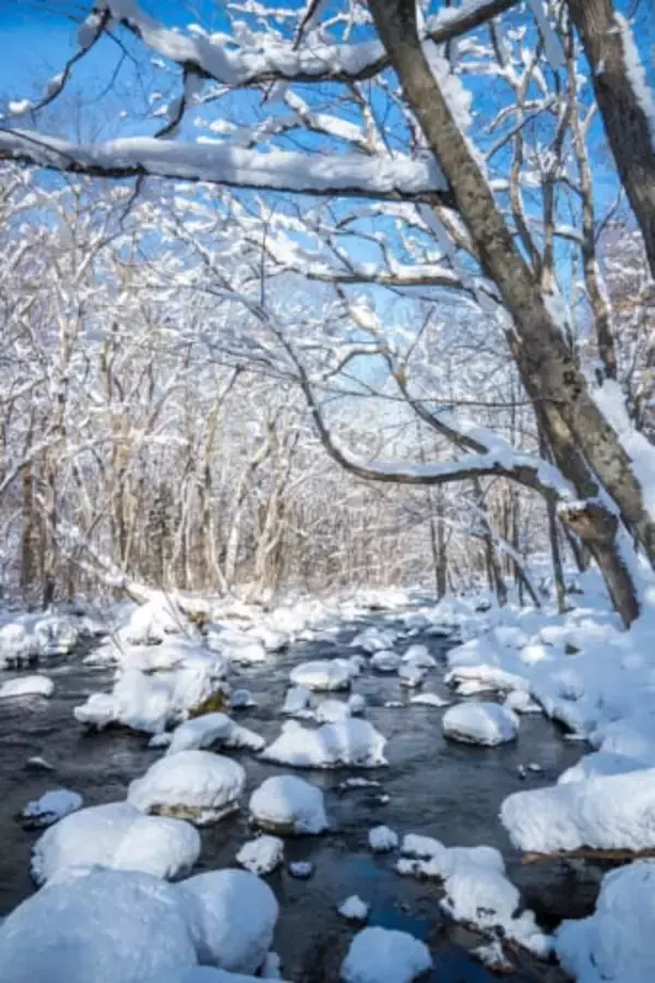 「“雪の王国”青森を満喫。【星野リゾート　奥入瀬渓流ホテル】で日常から開放される滞在を」の画像