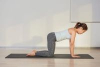 運動不足解消につながる。１日１分【効率良く全身の筋肉を強化できる】簡単習慣