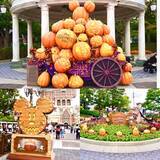 「２種類のダンスで盛り上がる！東京ディズニーシー【2024ディズニー・ハロウィーン】グリーティング＆フォトスポット」の画像4