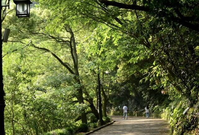 韓国のハワイ・チェジュ島。南部の街【ソギポ】で自然とグルメ・街歩きを楽しむ旅