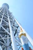 「東京スカイツリー(R)の迫力満点スポット【LOOK UP CAFE TOKYO SKYTREE(R)】は寄り道にピッタリ」の画像6