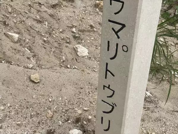 「宮古島と石垣島の中間に浮かぶ【沖縄・多良間島】。島に残る独特の文化を楽しむ旅」の画像