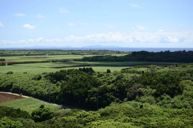 宮古島と石垣島の中間に浮かぶ【沖縄・多良間島】。島に残る独特の文化を楽しむ旅