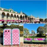 「【東京ディズニーランド】ミニーマウスが主役。「ミニーのファンダーランド」が開催中」の画像6