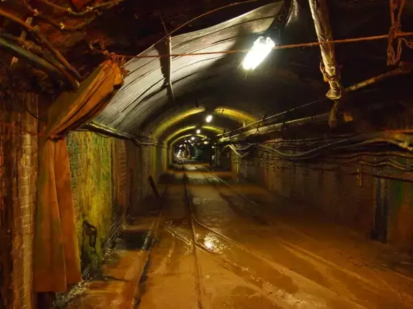 「ドイツらしさあふれる「木組みの町並み」を巡る旅　一度は訪れたい7つの町」の画像