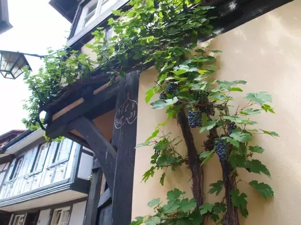 「ドイツらしさあふれる「木組みの町並み」を巡る旅　一度は訪れたい7つの町」の画像