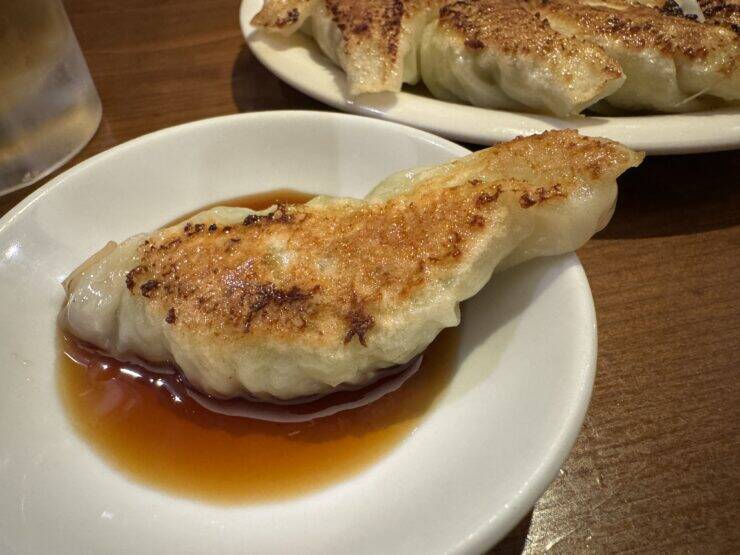 【日本餃子紀行】昭和37年創業！60年以上愛され続ける老舗で味わう浜松餃子とは？ / 静岡県浜松市・JR浜松駅徒歩3分の「むつぎく」