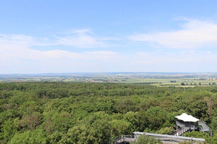 古城とビールだけじゃないドイツへ。世界遺産の森を歩くハイニッヒ国立公園への旅