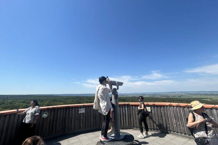 古城とビールだけじゃないドイツへ。世界遺産の森を歩くハイニッヒ国立公園への旅