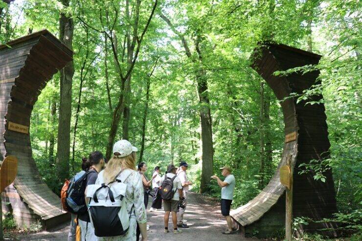 古城とビールだけじゃないドイツへ。世界遺産の森を歩くハイニッヒ国立公園への旅