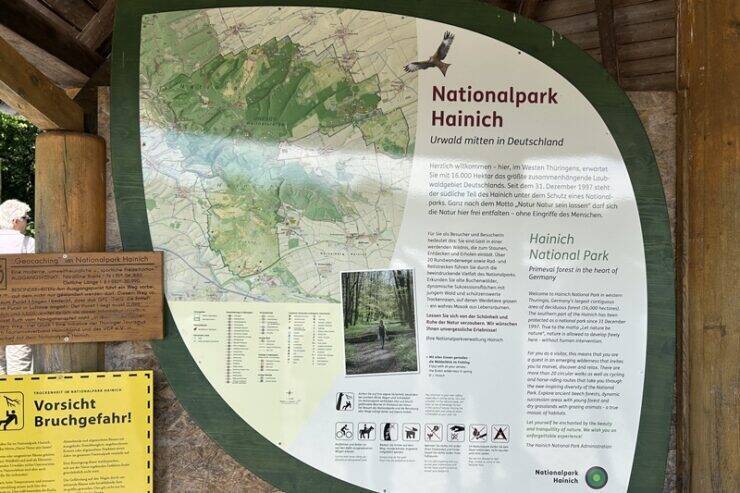 古城とビールだけじゃないドイツへ。世界遺産の森を歩くハイニッヒ国立公園への旅