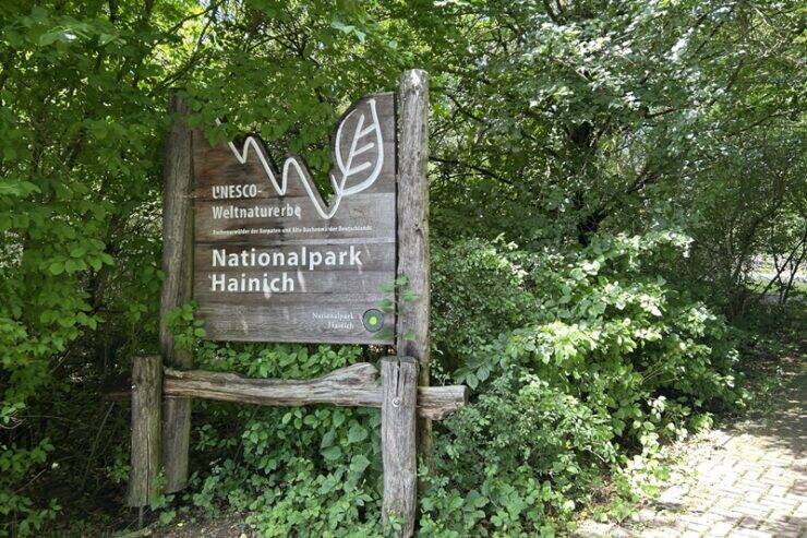 古城とビールだけじゃないドイツへ。世界遺産の森を歩くハイニッヒ国立公園への旅